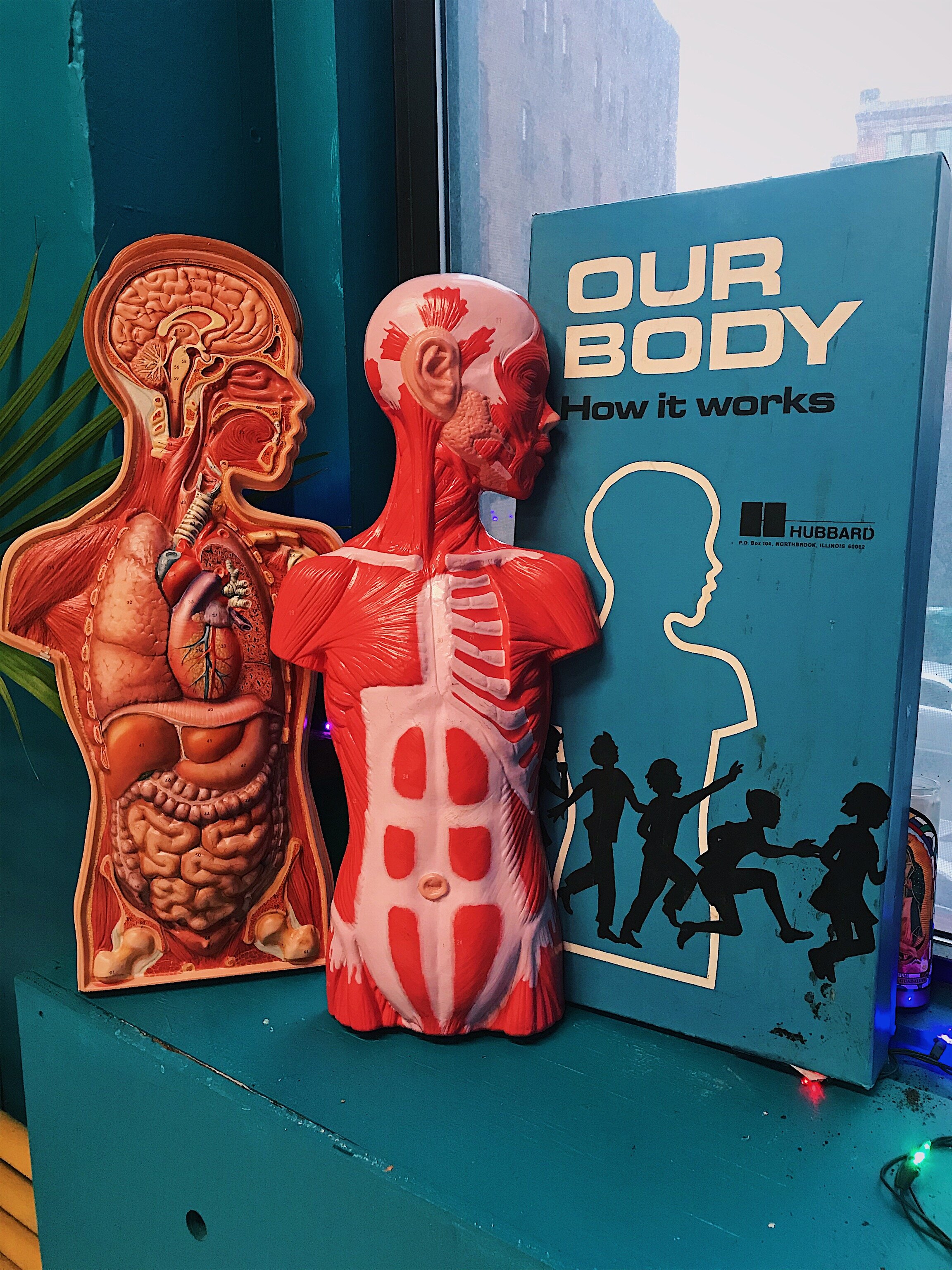 medicalmodel.jpg